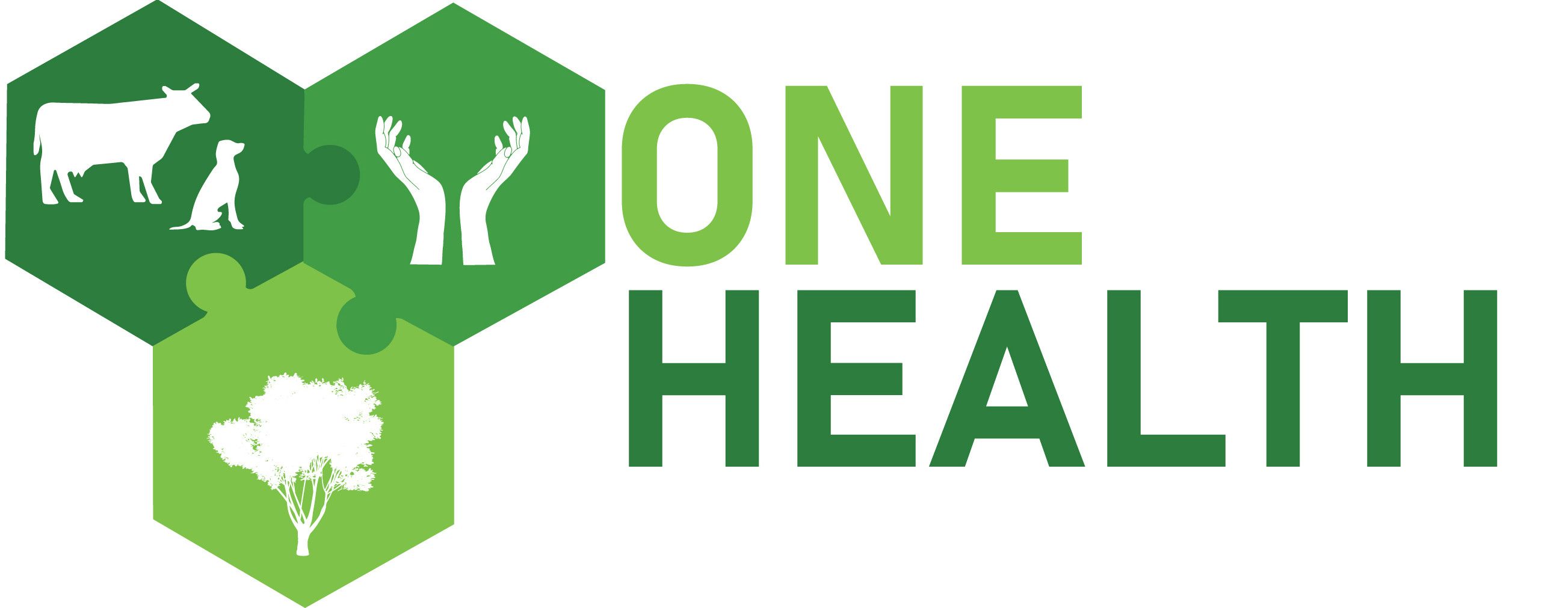 One-Health Logo