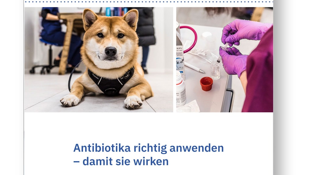 Using antibiotics correctly