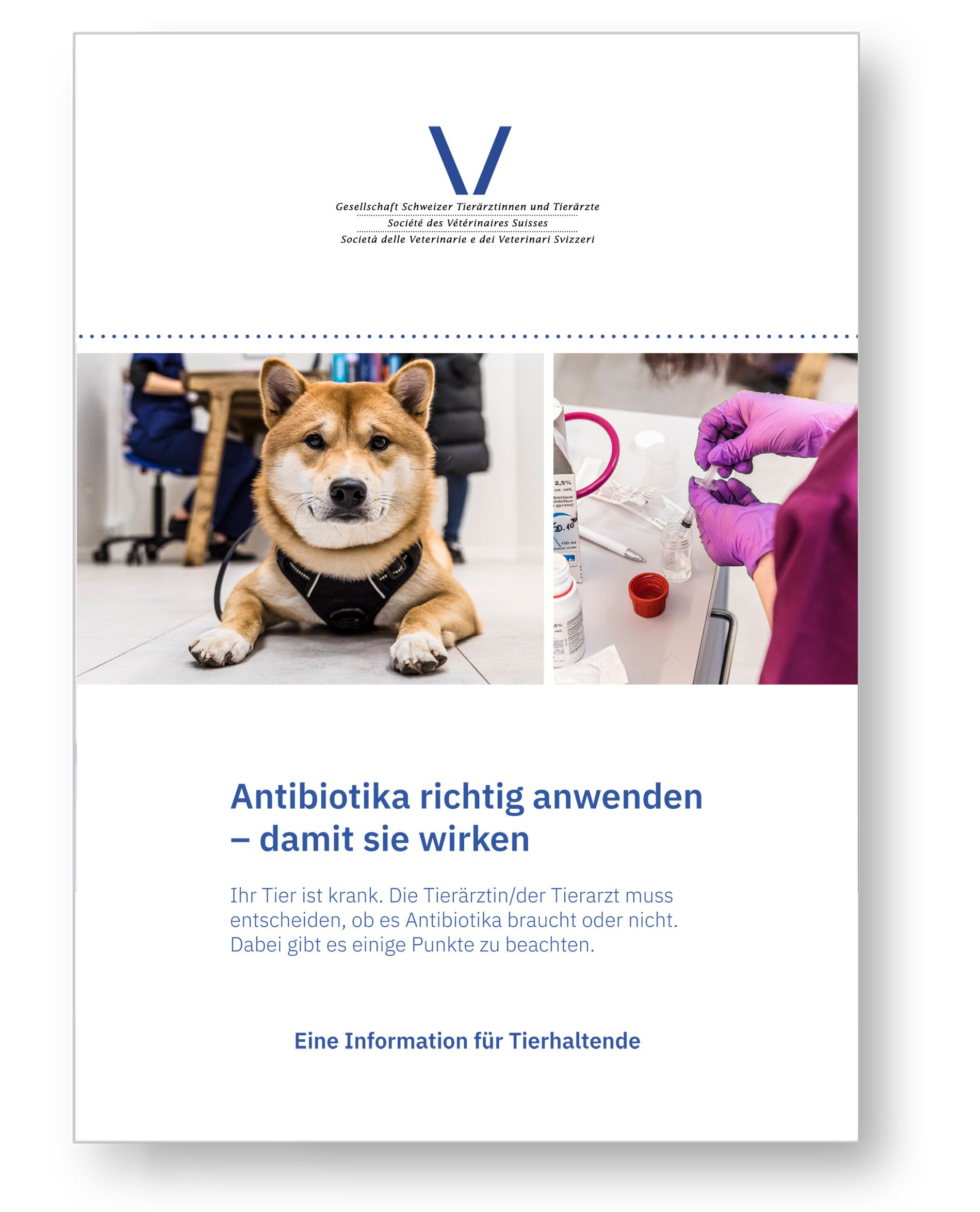 Using antibiotics correctly