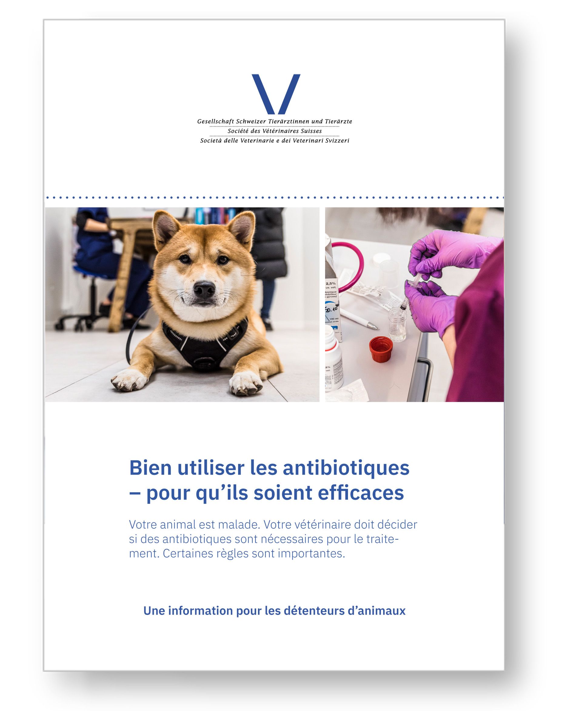Bien utiliser les antibiotiques pour qu'ils soient efficaces