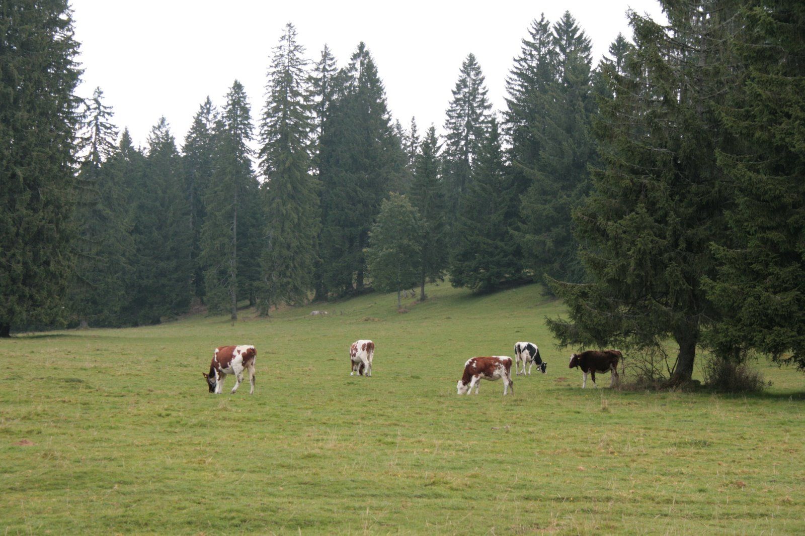 Environnement